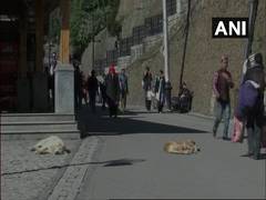 
      
      Himachal: SMC offers free parking, 100 pc discount on garbage...
      
      