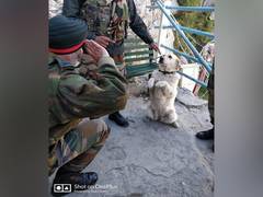 
      
      Story behind viral picture of the dog 'Menaka' saluting top...
      
      