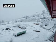 
    Mandhol village of Shimla receives fresh snowfall 
    