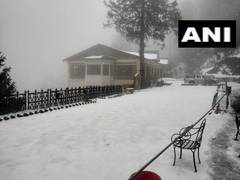 
      
      Narkanda receives fresh snowfall 
      
      