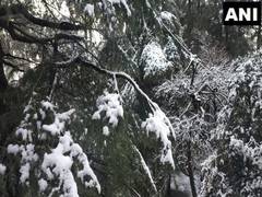 
      Mandhol village of Shimla receives fresh snowfall
      