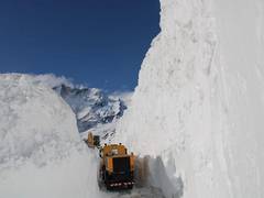 
      
      Rohtang Pass opened for public, will facilitate movement of...
      
      