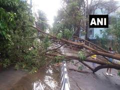 
      
      Death toll rises to 14 as heavy rain lashes Assam
      
      