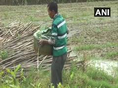 
      
      Manipur: Toubul village farmers facing losses amid lockdown
      
      