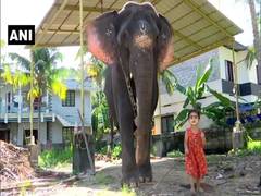 
      
      2-year-old girl's friendship with elephant in Kerala 
      
      