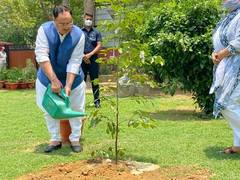 
      
      JP Nadda plants sapling on World Environment Day
      
      