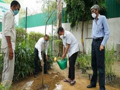 
      
      World Environment Day: Delhi CM plants sapling, urges people...
      
      