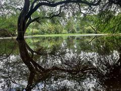 
      
      Delhi govt to develop, revamp 20 lakes 
      
      
