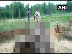 
      
      Elephant dies from electrocution in Chhattisgarh 
      
      