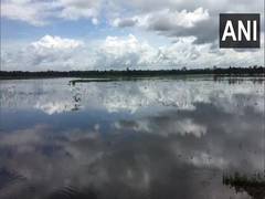 
      
      Paddy fields in Kerala's Kottayam flooded following heavy rainfall
      
      