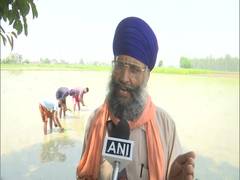
      
      Shortage of labourers hit paddy farming in Amritsar
      
      