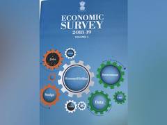 
      
      Key highlights of Indian Economy as Depicted in Survey 2018-19
      
      