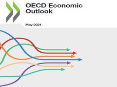 
      
      OECD pegs India's GDP growth forecast at 9.9 pc
      
      