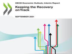 
      
      Global economic recovery continues but remains uneven: OECD
      
      