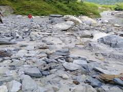 
      
      Uttarakhand: Badrinath National Highway blocked by boulders
      
      