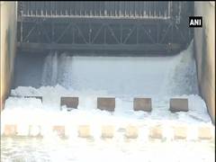
      
      Delhi: Yamuna gets polluted again as lockdown eases
      
      