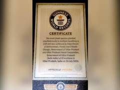 
      
      UP plantation drive enters Guinness World Records
      
      