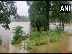 
      
      Heavy rains disrupt normal life in Chhattisgarh's Sukma,...
      
      
