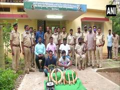 
      
      5 held, 9 hippopotamus tusks seized
      
      