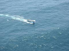 
      
      1,000 kg sea cucumbers worth Rs 5 cr seized by Coast Guard
      
      