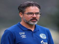 
      
      FC Schalke sack manager David Wagner
      
      