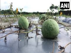 
      
      West Bengal: Entrepreneur creates job opportunity in organic...
      
      