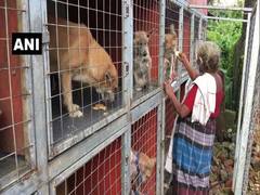 
      
      Elderly woman in Kottayam takes care of over 60 street dogs
      
      