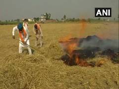 
      
      We burn stubble as govt compensation inadequate: Amritsar farmers 
      
      