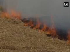 
      
      Amid air pollution concerns, farmers in Amritsar continue...
      
      