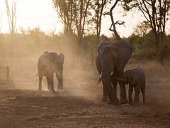 
      
      Forevermark unveils series of six short films telling...
      
      