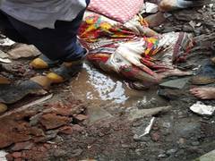 
      
      Public toilet collapses in Mumbai's Kurla area, woman rescued
      
      