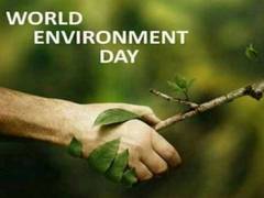 
      
      Bollywood marks World Environment Day with social media posts...
      
      