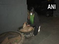 
      
      Delhi: Young vet student makes beds using tyres for dogs amid...
      
      