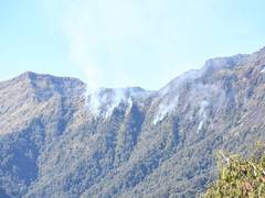 
      
      Nagaland civilian killings: Internet, SMS services suspended...
      
      