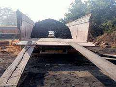 
      
      Odisha: STF busts organised cargo theft racket, 10 held 
      
      