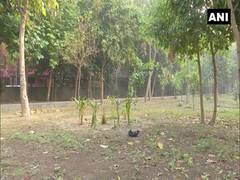 
      
      Delhi: Over 100 crows dead in Mayur Vihar Park in last 3-4 days
      
      