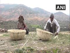 
      
      Bamboo weavers from J&amp;K's Ghordi Khas East village seek...
      
      