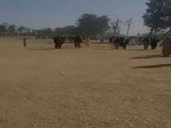 
      
      Taliban resort to 'ethnic cleansing' in several provinces
      
      
