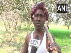 
      
      Man grows orchard of 10,000 trees on barren land in Bihar's Gaya
      
      