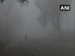 
      
      Thick layer of fog envelopes Amritsar, visibility affected
      
      