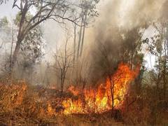 
      
      Fire breaks out at Bangalore University campus
      
      