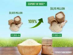 
      
      India's non-basmati rice exports more than double in 8 years
      
      