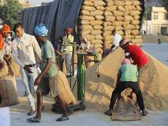 
      
      Centre releases Rs 2,94,718 crore to FCI, states for food subsidy
      
      