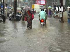 
      
      Tamil Nadu rain: Waterlogging in several parts of Madurai 
      
      