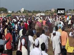 
      
      COVID protocols violated at bullock-cart race in Nashik after...
      
      