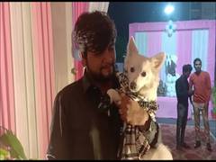 
      
      Gujarat: COVID-19 norms go for a toss in dog's lavish...
      
      