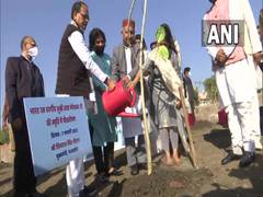 
      
      Shivraj Singh Chouhan plants saplings in memory of Lata...
      
      
