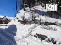 
      
      Shimla receives fresh spell of snowfall
      
      