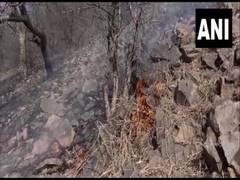 
      
      Fire breaks out at Rajasthan's Sariska Tiger Reserve
      
      