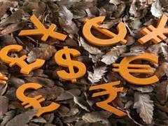 
      
      Continued global monetary policy easing could stoke FPI...
      
      